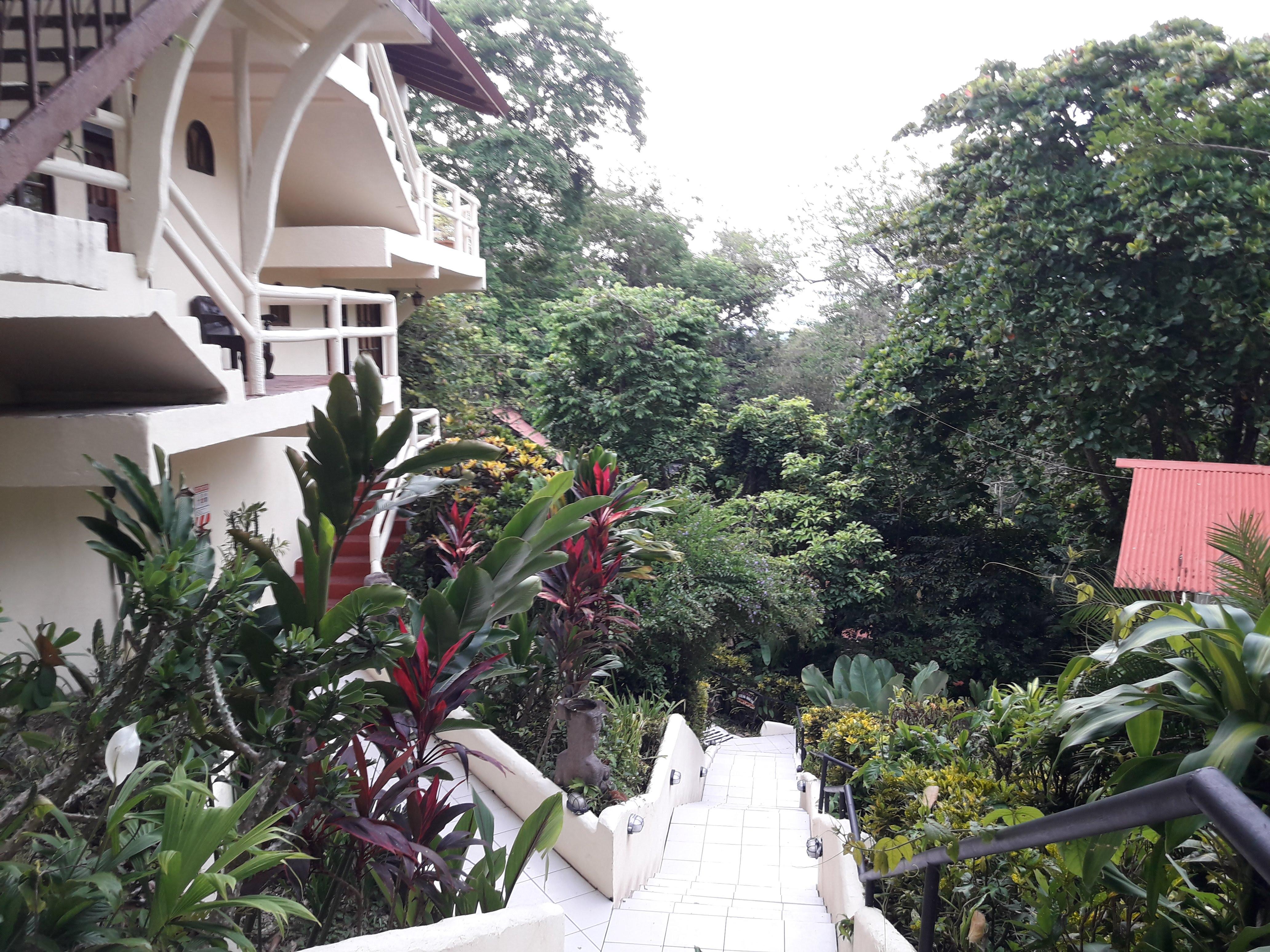 Hotel La Colina Manuel Antonio Eksteriør billede