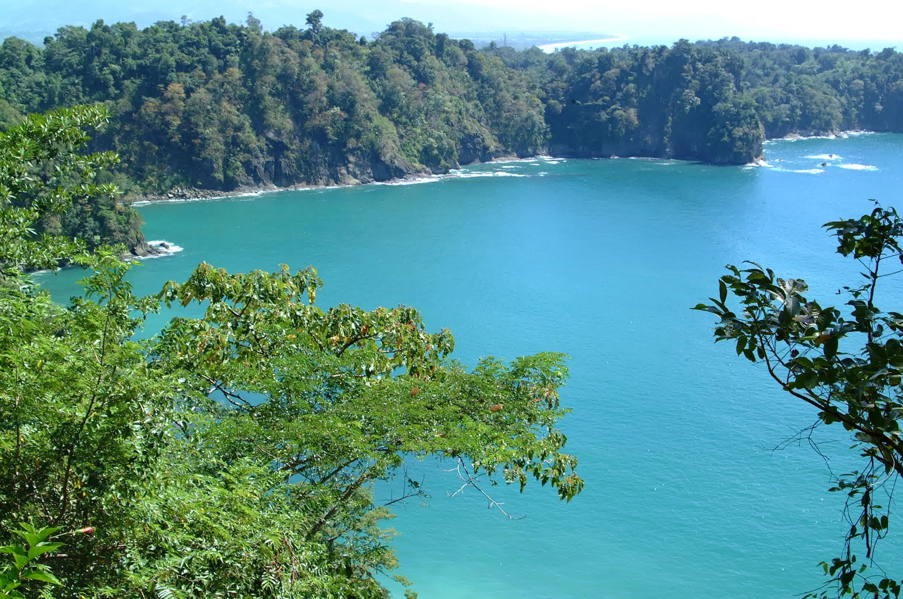 Hotel La Colina Manuel Antonio Eksteriør billede