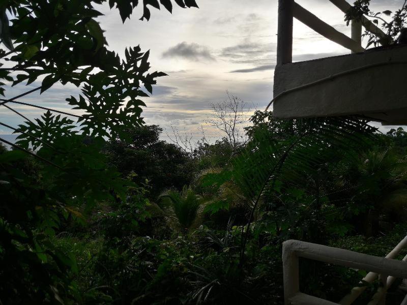 Hotel La Colina Manuel Antonio Værelse billede